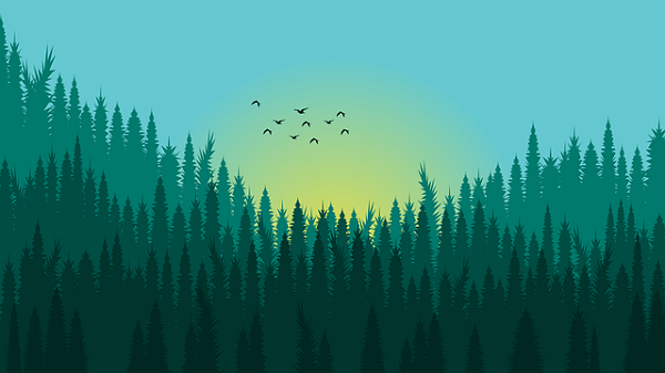 forest-g315e0c7a4_640.png