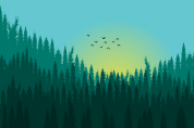 forest-g315e0c7a4_640.png