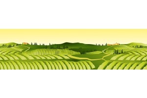 [그린RE:포트] 주목받는 에티오피아 농업 선진화