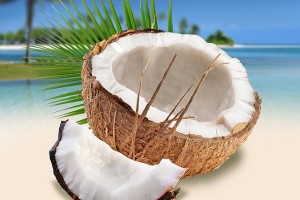 그 많던 코코넛 껍질은 다 어디로 갔을까 [그린RE:포트]