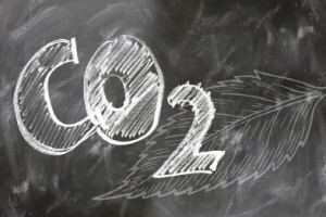 기업 70% "자발적 탄소시장, 탄소감축에 기여"