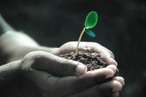 ‘아픈 몸’을 살리는 식물의 선한 영향력